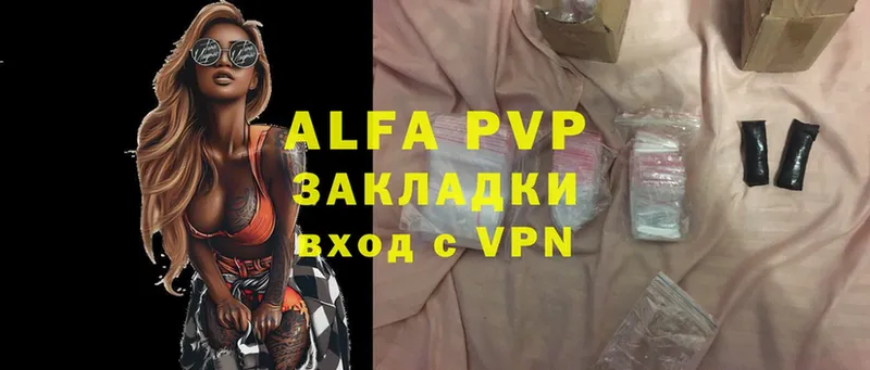 A-PVP СК КРИС  Губкин 