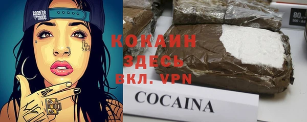прущие грибы Орск