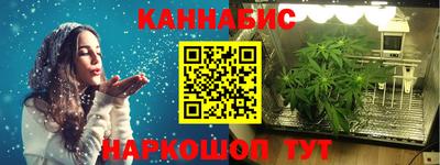 дмт Будённовск