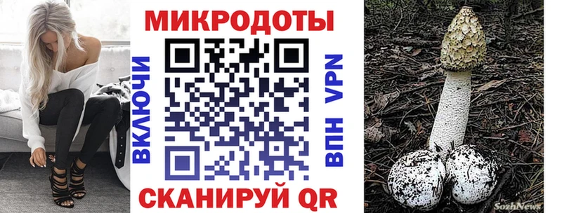 дарнет шоп  мега рабочий сайт  Псилоцибиновые грибы Magic Shrooms  Губкин 