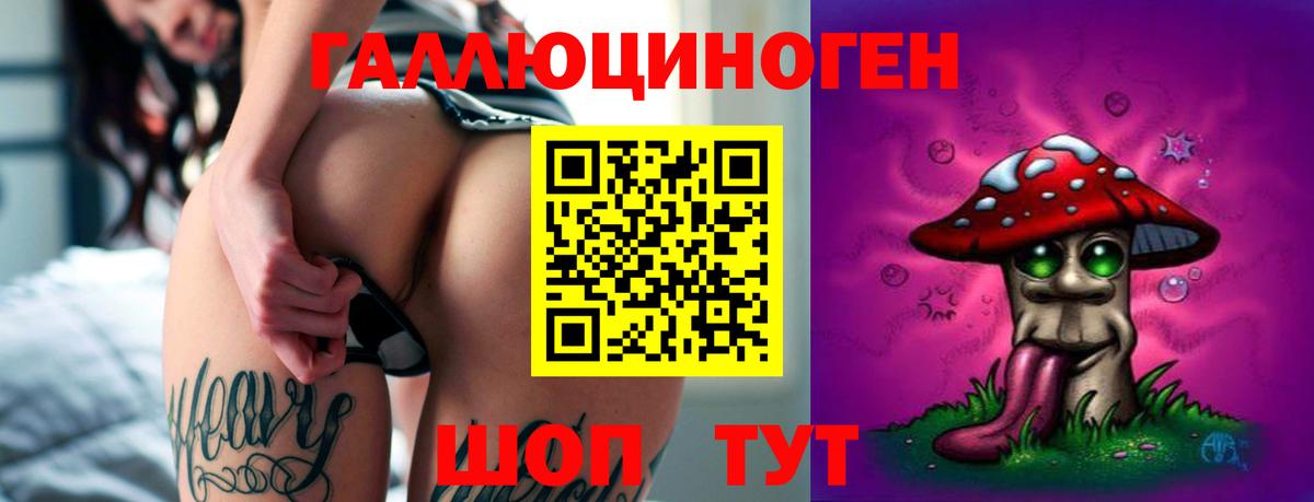 Псилоцибиновые грибы Cubensis  Губкин 